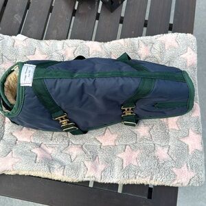 Foggy Mountain Dog Coat. Small dogs